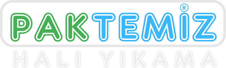 Paktemiz